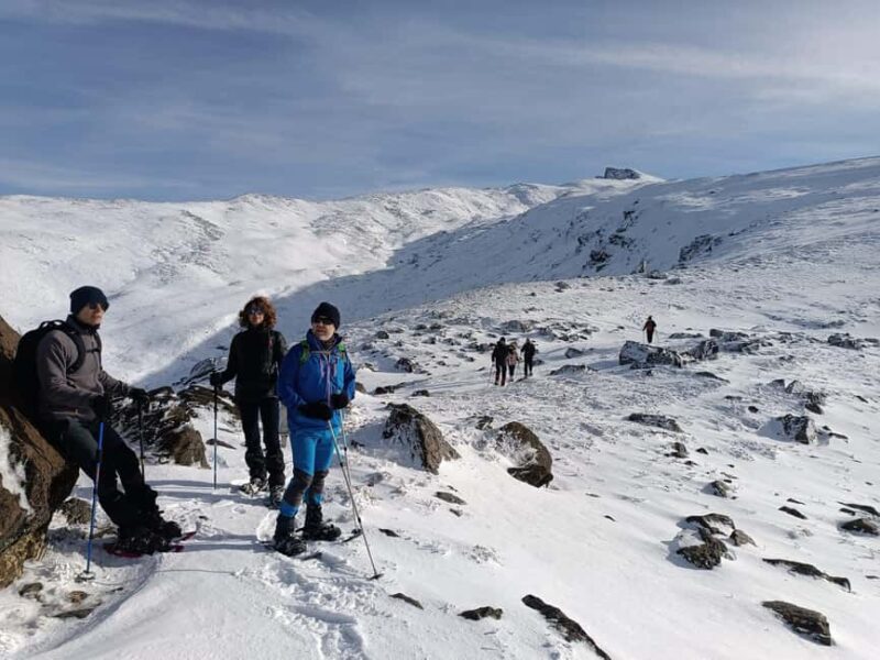 Snowshoeing and sledding in Sierra Nevada from Seville - Discover Snowshoeing and Sledding in Sierra Nevada from Seville