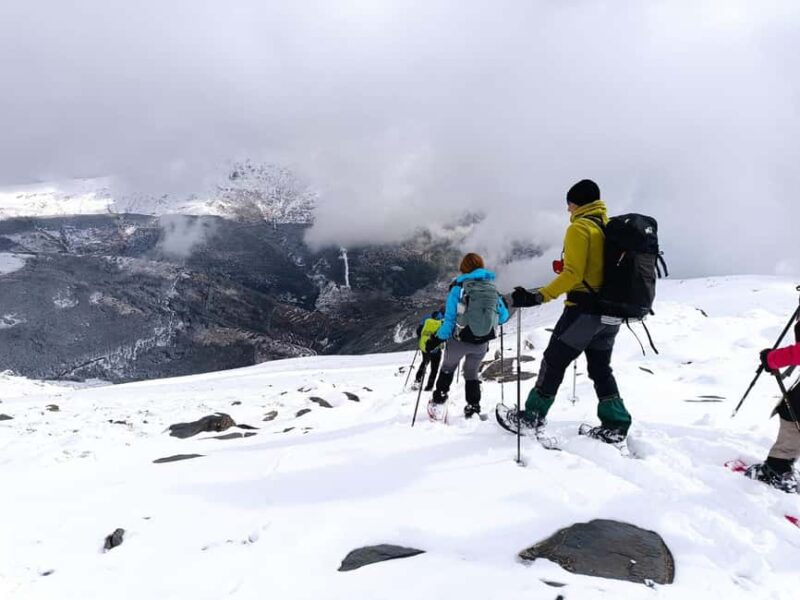 Snowshoeing and sledding in Sierra Nevada from Seville - Key Points