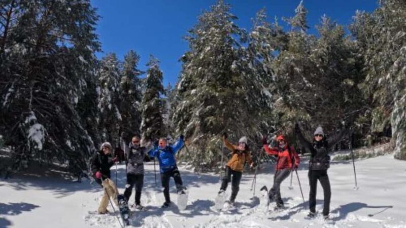 Snowshoeing and sledding in Sierra Nevada from Seville - Learning Snowshoeing Techniques and Safety