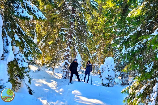 Snowshoeing Fun Tour from Cluj Napoca - Key Points