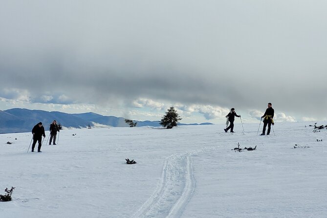 Snowshoeing Fun Tour from Cluj Napoca - From Forest Paths to Mountain Slopes