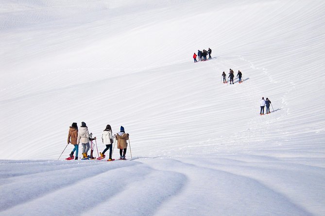 Snowshoeing Fun Tour from Cluj Napoca - The Guide: Knowledgeable and Personable