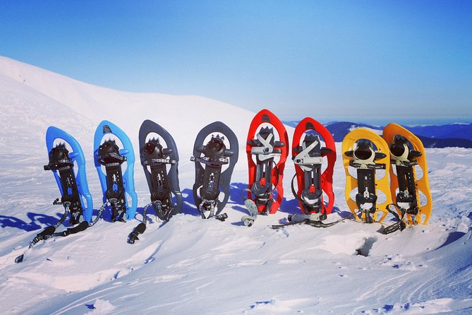 Snowshoeing Fun Tour from Cluj Napoca - Physical Requirements and What to Bring