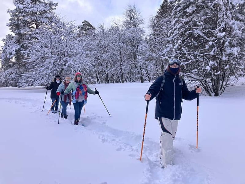 Snowshoeing in Bakuriani, Caucasus Mountains - Key Points