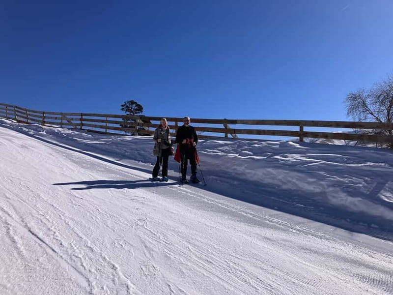 Snowshoeing in Bakuriani, Caucasus Mountains - Flexibility and Booking Options