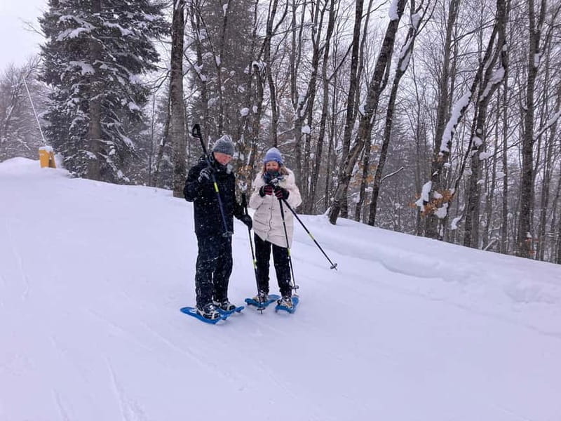 Snowshoeing in Bakuriani, Caucasus Mountains - Who Will Enjoy This Snowshoe Adventure?