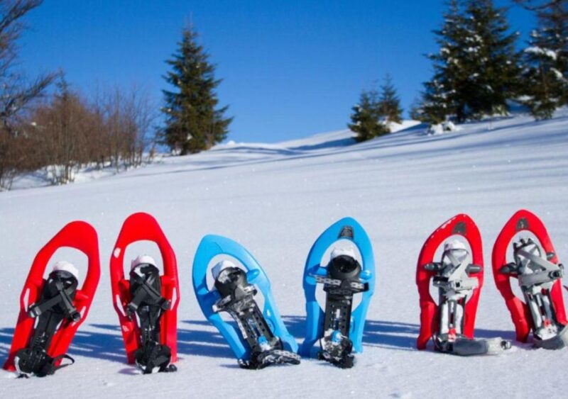 Snowshoeing in Brembana valley - The Role of the Guide: Knowledgeable and Friendly