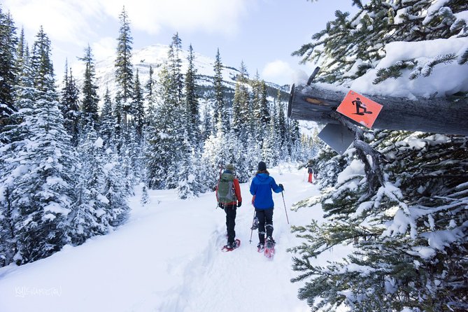Snowshoeing in Kananaskis - Convenient Meeting Point at Kananaskis Outfitters