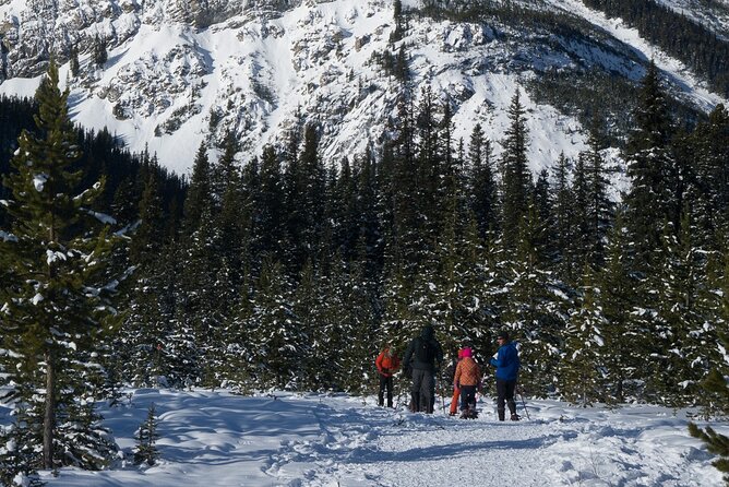 Snowshoeing in Kananaskis - What’s Included in the Snowshoeing Tour
