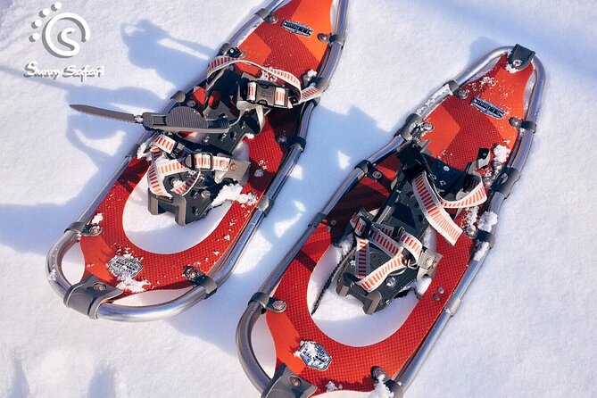 Snowshoeing in Lapland Wilderness - Flexibility in Duration and Extending Your Trek