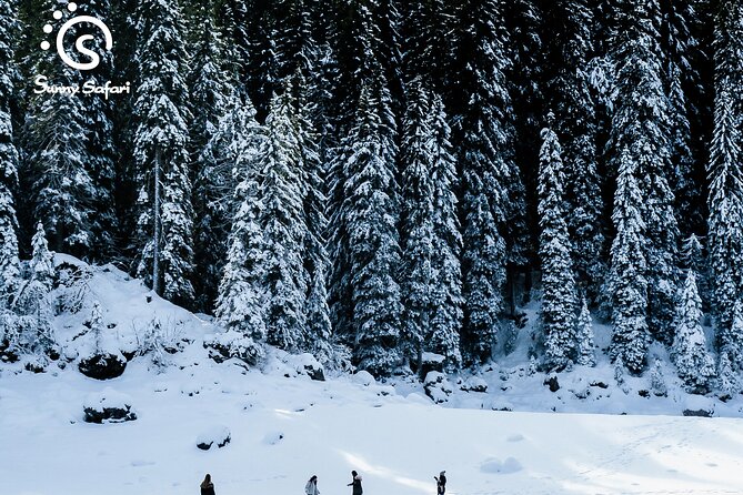 Snowshoeing in Lapland Wilderness - The Sum Up: A Peaceful, Family-Friendly Arctic Adventure