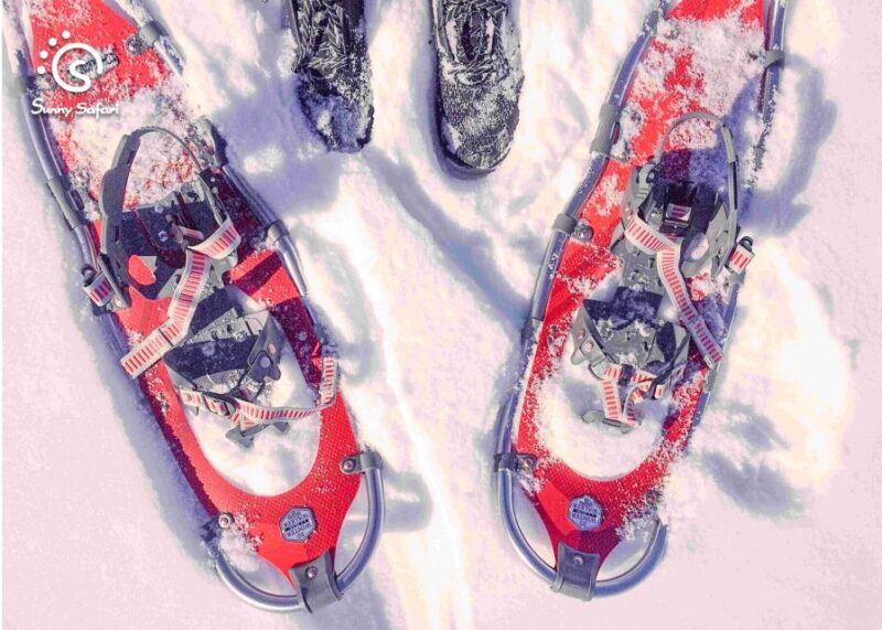 Snowshoeing in Lapland Wilderness - Key Points