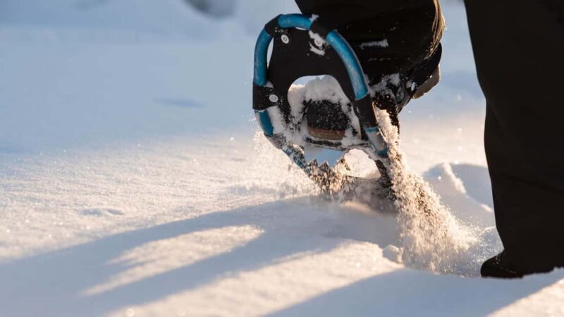 Snowshoeing in the Arctic Wilderness - Explore the Finnish Arctic with Snowshoeing in Lapland