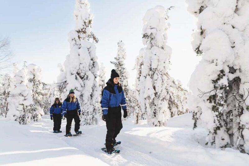 Snowshoeing in the Arctic Wilderness - Key Points