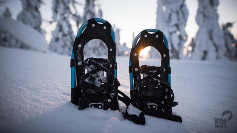Snowshoeing in the Arctic Wilderness - Final Thoughts on Snowshoeing in Lapland