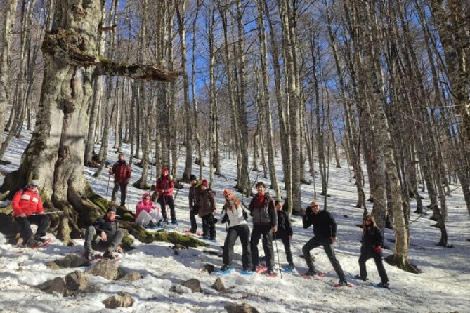 Snowshoeing in the Pollino National Park - The Role of the Expert Guide