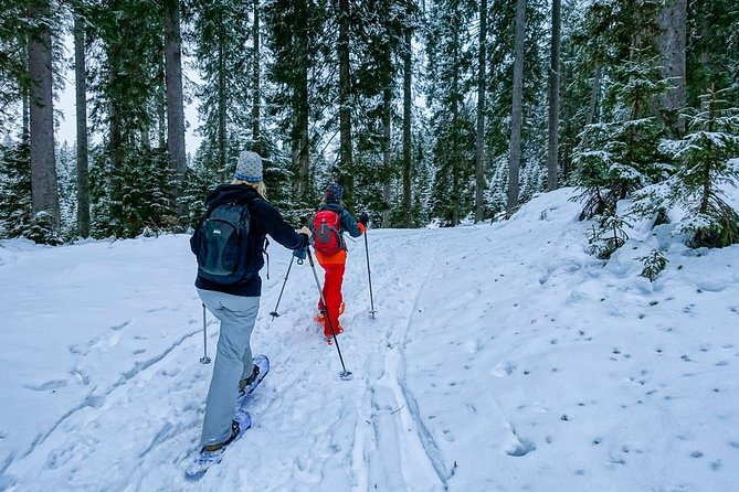 Snowshoeing in Triglav national park - Discover Snowshoeing in Triglav National Park from Bled for $162