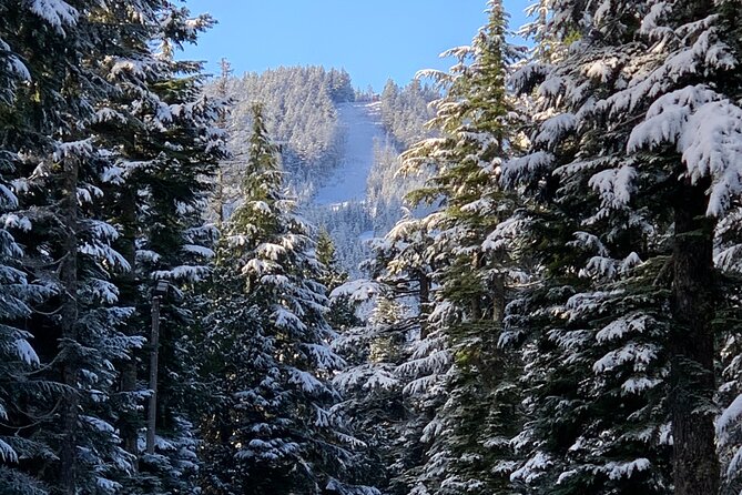 Snowshoeing In Vancouver's Winter Wonderland - The Role of the Guide in Enhancing the Experience