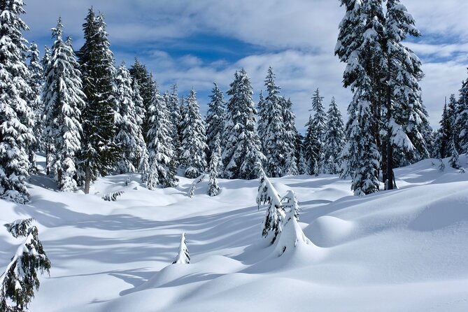 Snowshoeing In Vancouver's Winter Wonderland - Practical Details: Booking, Cancellation, and What’s Not Included