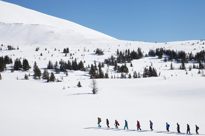 Snowshoeing on Top of the World - Gondola Ride and Mountain Views