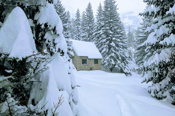 Snowshoeing on Trebevic Mountain from Sarajevo - Value for Price and Overall Experience