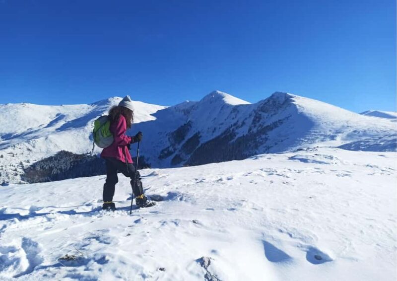 Snowshoeing tour to the peak Ostri Vrv on Jakupica mountain - Trekking Through Forests Rich in Endemic Biodiversity