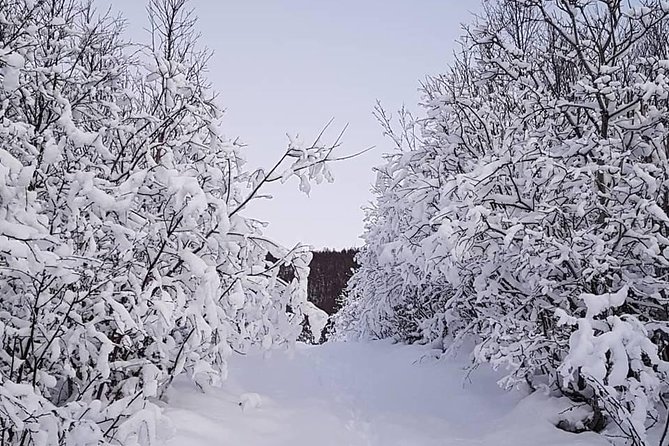 Snowshoeing With A View - Key Points