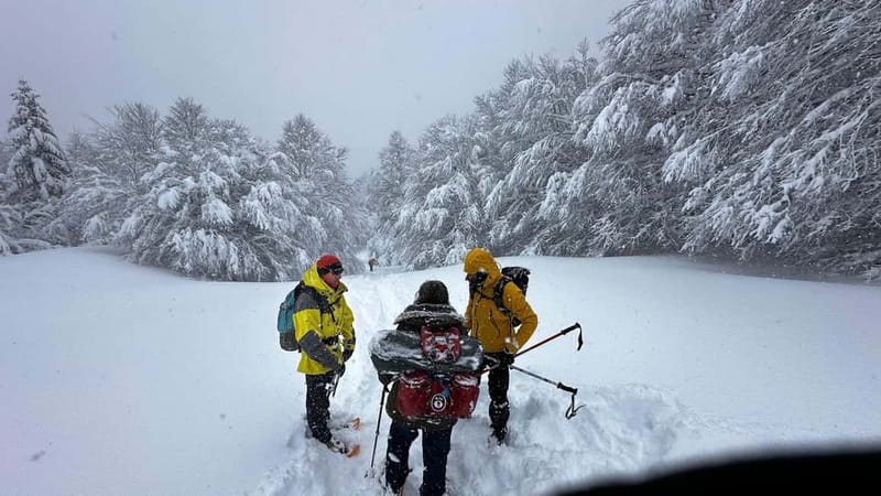 SNOWSHOES - Key Points