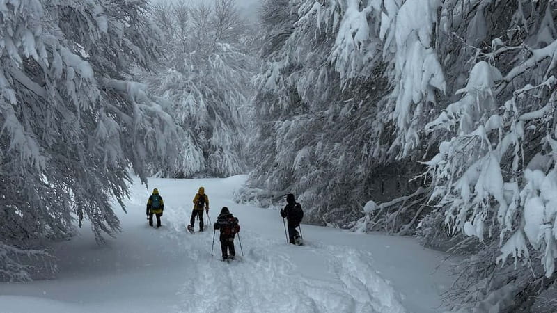SNOWSHOES - Locations Suitable for Snowshoeing: From Ibón de Piedrafita to Ordesa