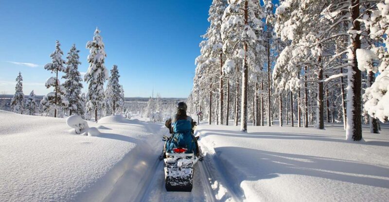 SnowSurge: Adult Snowmobiling Adventure - Key Points
