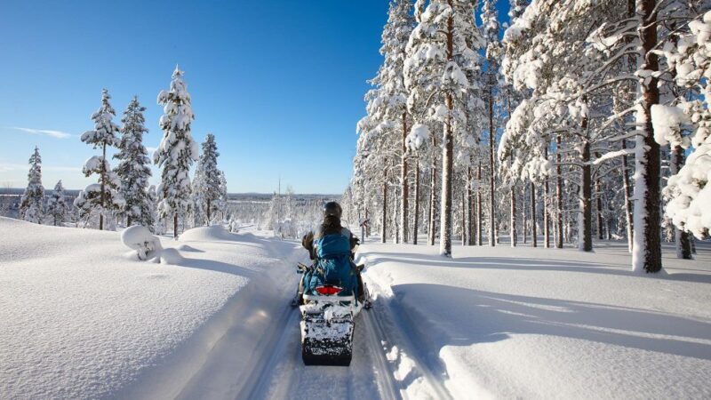 SnowSurge: Adult Snowmobiling Adventure - Comprehensive Winter Equipment and Safety Measures Included