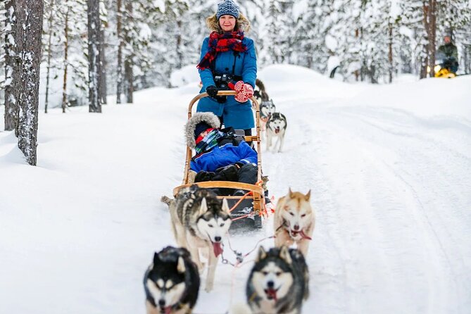 Snowy Trails 10km Husky Safari from Rovaniemi - Visit a Husky Farm and Meet the Dogs