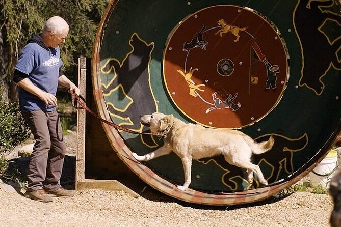 Snuggle Puppies and Learn about the Iditarod - What to Wear and Bring for Comfort and Convenience