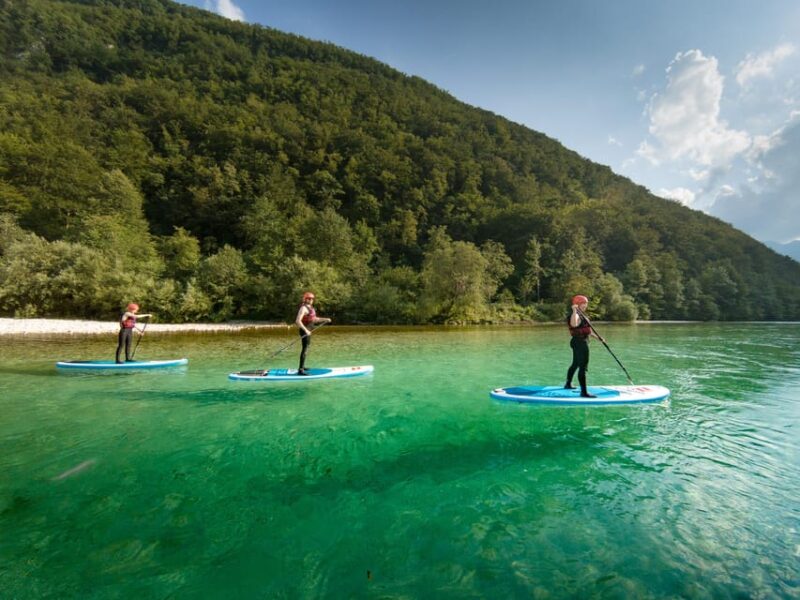 Soa Whitewater Stand-up Paddle Board: Small Group Adventure - The Guided Tour and Paddling Techniques