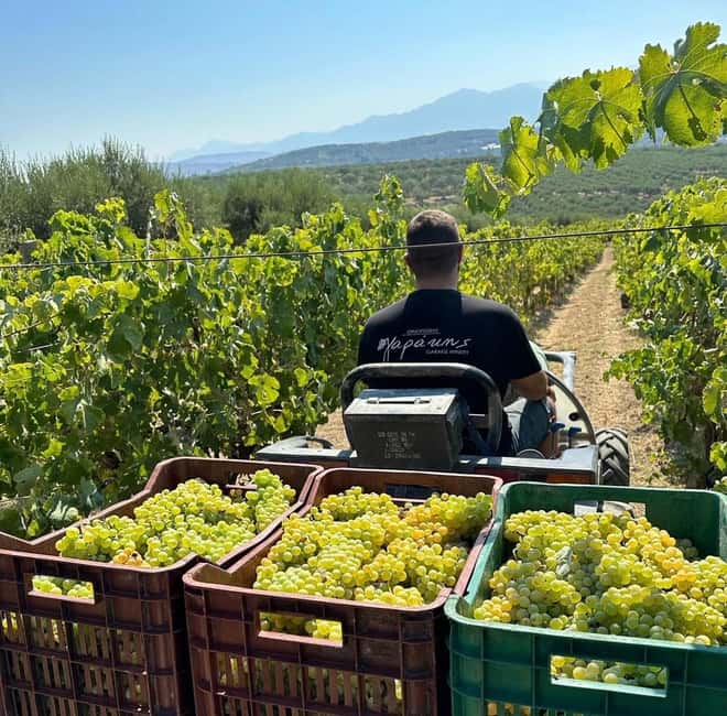 Soap, Wine, Raki, Olive Oil, Meet the local Producers Tour - Discover Crete’s Flavors and Crafts in One Authentic Tour