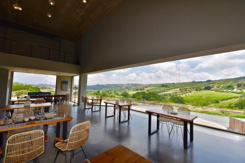 Soap, Wine, Raki, Olive Oil, Meet the local Producers Tour - Logistics and Comfort