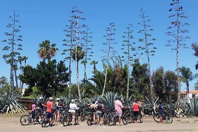 SoCal Riviera Electric Bike Tour of La Jolla and Mount Soledad - The Electric Bike Experience and Handling