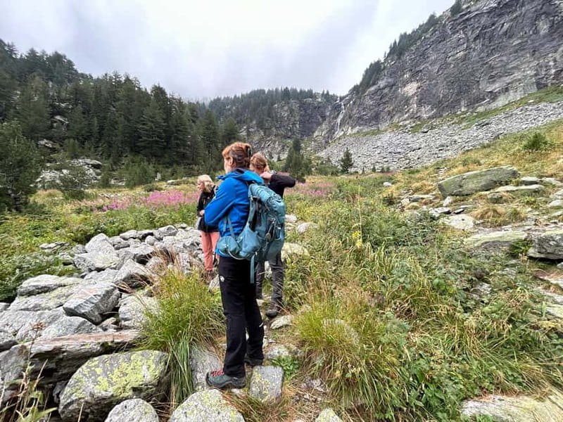 Sofia: Adventure of a Lifetime - Retro Train Journey & SPA - Visiting the Yundola Market for Local Delights