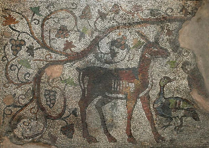 Sofia: Augusta Trayana - From Neolithic to Modern Times Tour - Walking Through the Roman Forum of Augusta Trayana