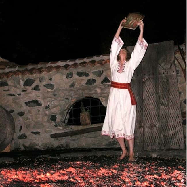 Sofia by Night: Panoramic City Tour and Folklore Dinner - Practical Details: Logistics and Group Experience