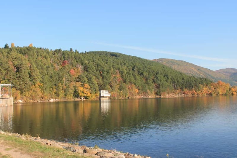 Sofia Full Day Tour - Lunch Break at a Local Restaurant