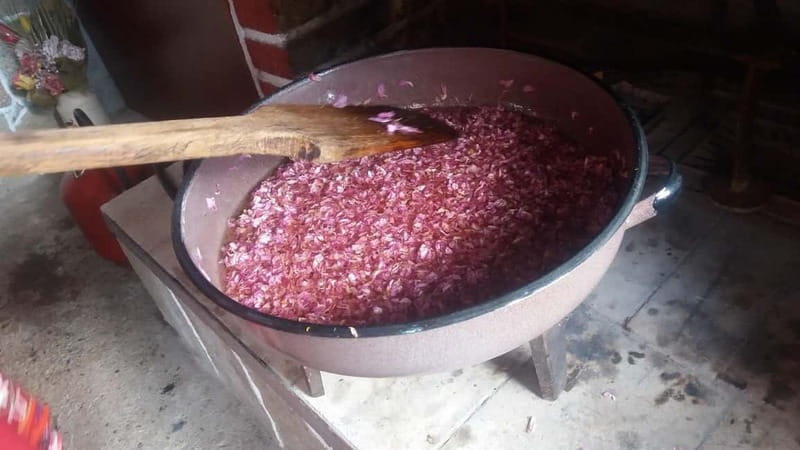 Sofia Kazanluk Rose Valley & Oil Distillery Tour - Tasting Bulgarian Rose Products and Souvenir Shopping