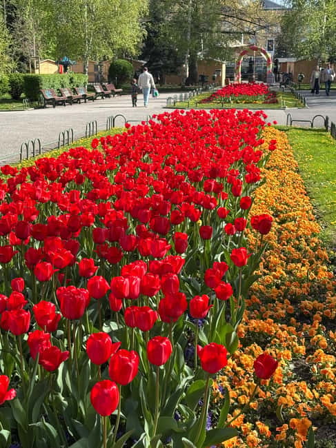 Sofia: Live Guided Tour with Headphones - The National Theatre in the City Garden