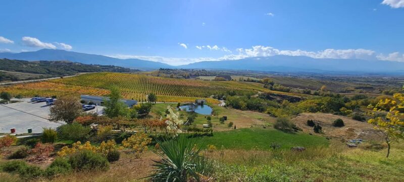 Sofia: Melnik and Rozhen Monastery Day Trip & Wine tasting - Melnik: Bulgaria’s Smallest Town with Big Charm