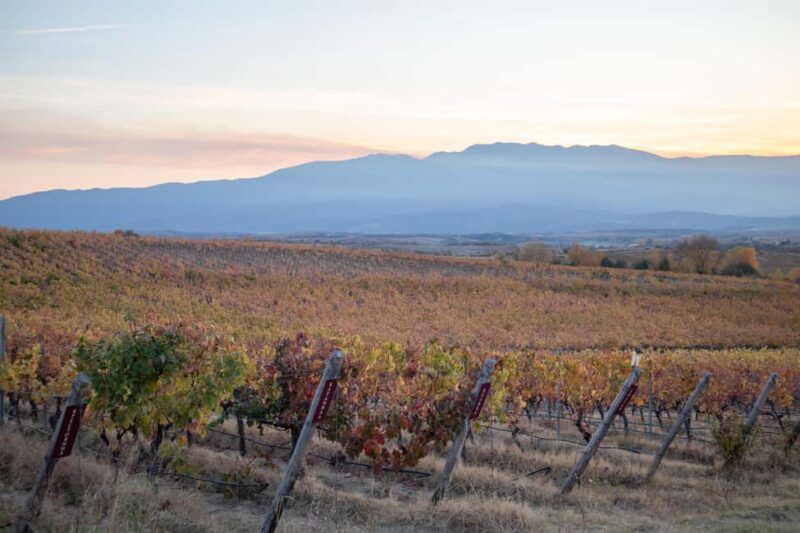 Sofia: Sandanski and Pozar Thermal Escape 9-Day Spa Tour - Key Points