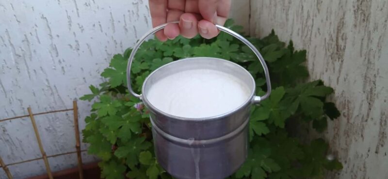 Sofia: Taste Bulgarian Yogurt Kiselo Mlyako in a Family Home - Key Points