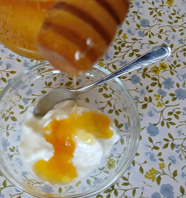 Sofia: Taste Bulgarian Yogurt Kiselo Mlyako in a Family Home - Exploring Bulgarian Yogurt and Its Cultural Significance