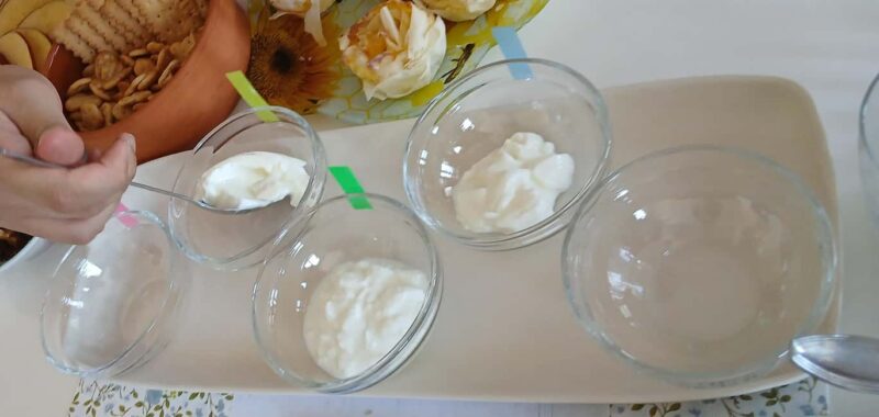 Sofia: Taste Bulgarian Yogurt Kiselo Mlyako in a Family Home - Choosing Your Drink: Bulgarian Wine or Ayran