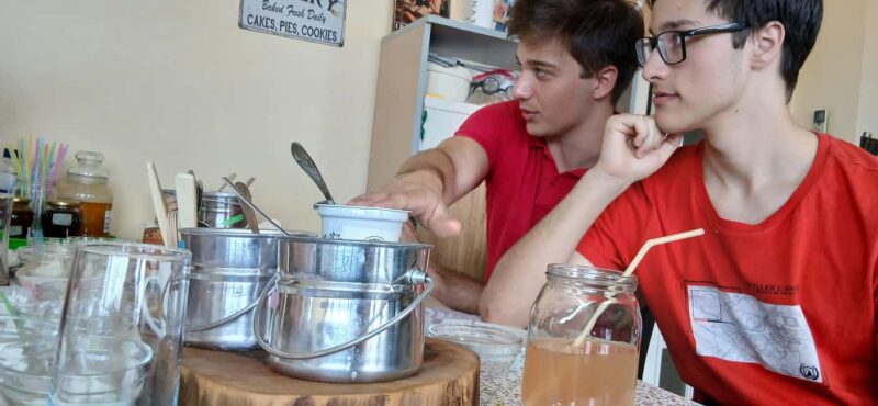 Sofia: Taste Bulgarian Yogurt Kiselo Mlyako in a Family Home - Practical Details: Duration, Group Size, and Flexibility