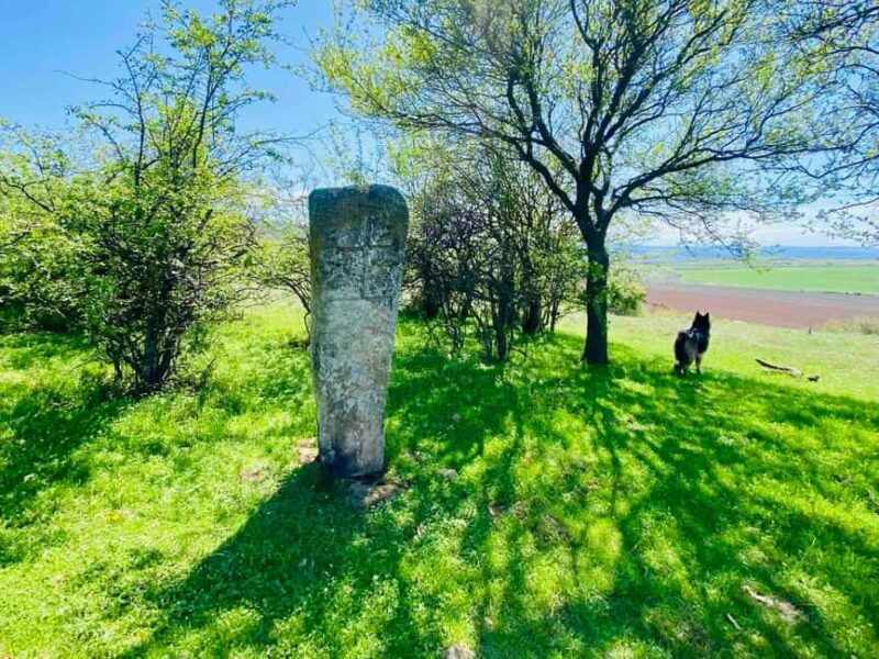 Sofia: The Beauty of the Countryside with a Homemade Lunch - Visiting an Authentic Rural House